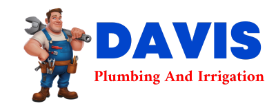 Trusted plumber in LANESBORO